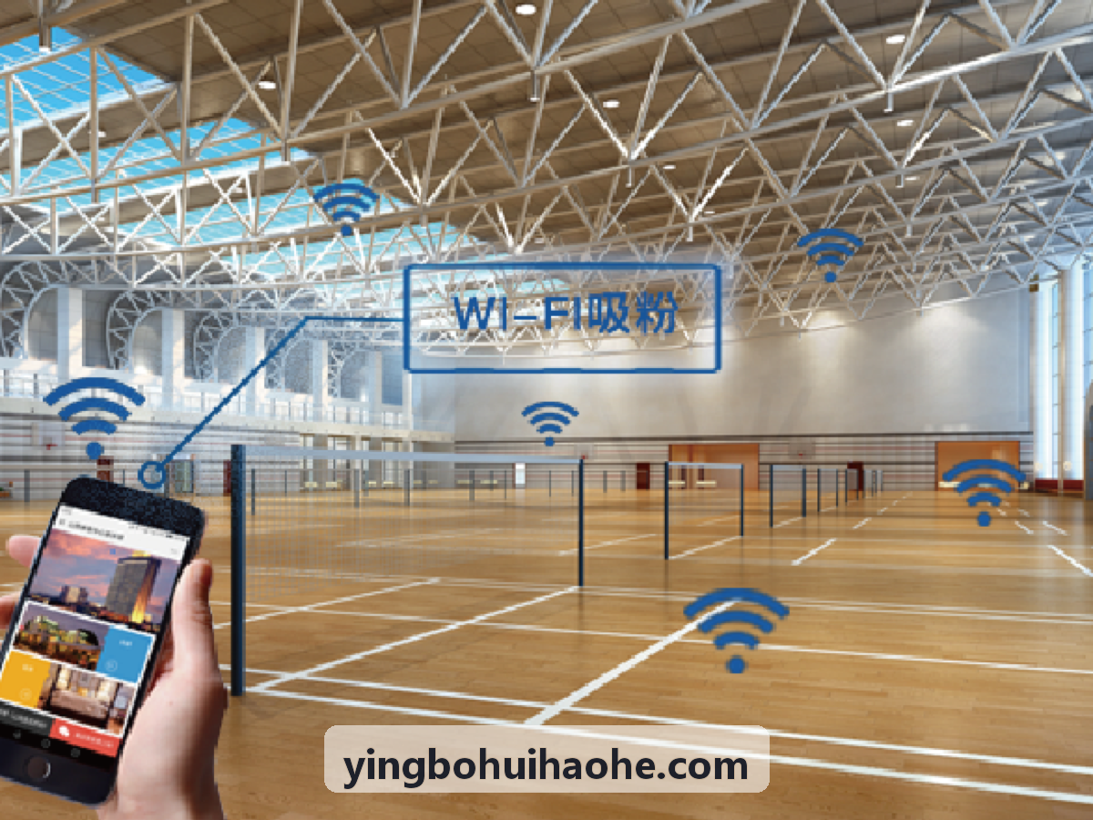 综合体能科研工作站 - YINGBOHUI